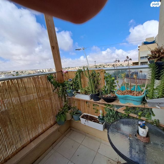 דירה, ריה"ל, אירוס, ירוחם