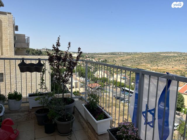 דירה, זית שמן, אפרת