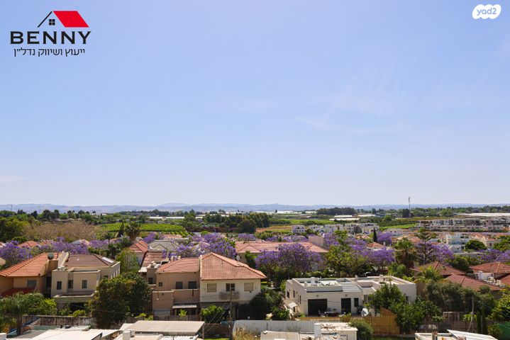 דירה, תל מונד