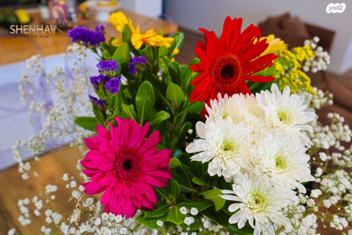 דירה, תל מונד