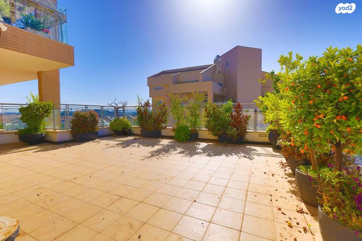 גג/ פנטהאוז, סמטת שחף, כפר סבא הצעירה, כפר סבא