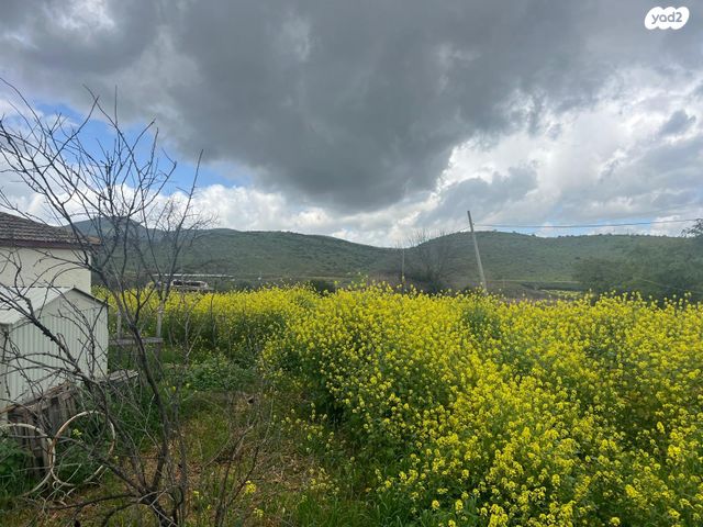 משק חקלאי/ נחלה, שדה אליעזר