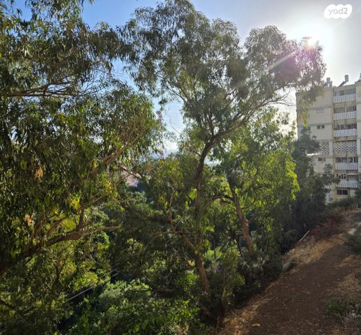 דירה, דוד בר רב האי, קרית שפרינצק, חיפה