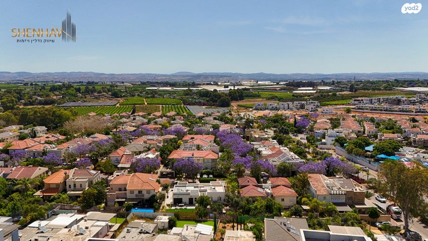 דירה, תל מונד