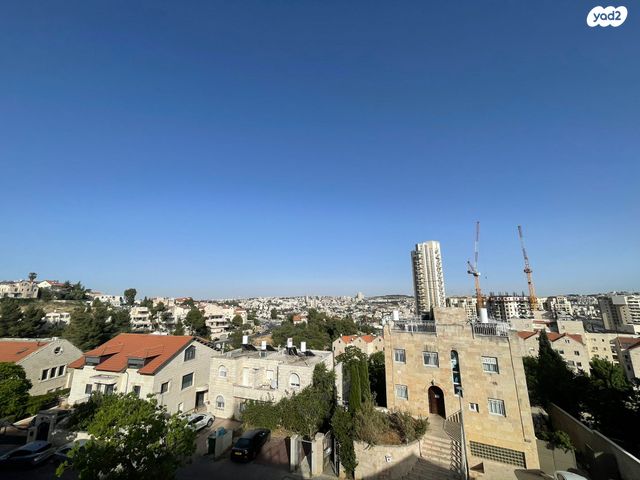 דוד פ. מרץ 