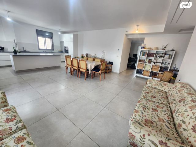 רועי קליין 3