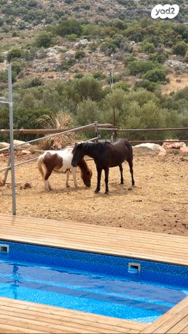 בית פרטי/ קוטג', עבדון, עבדון