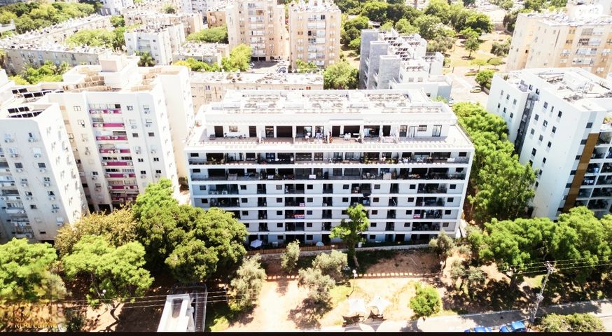 מעפילי אגוז 84