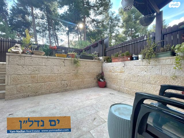 הכלנית 