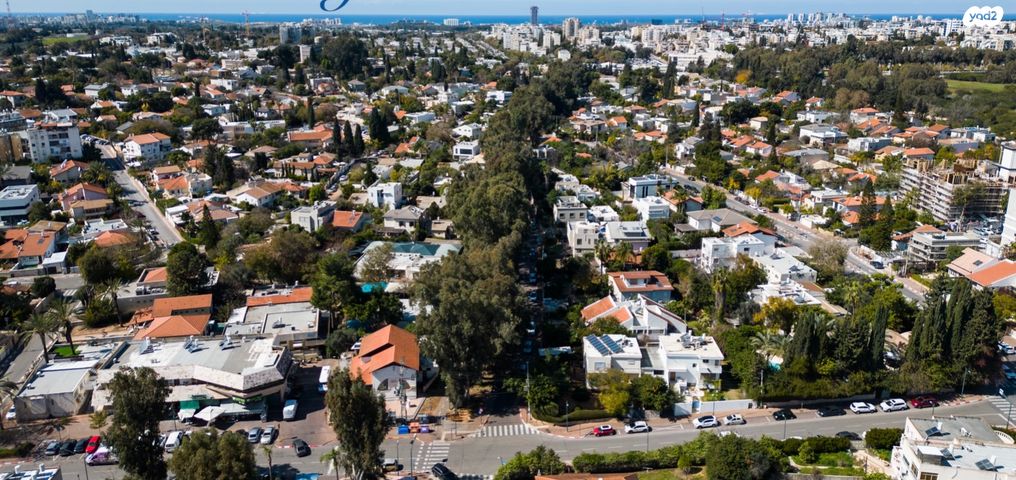 הרב ריינס 