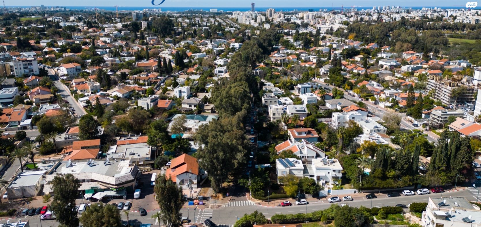 הרב ריינס 