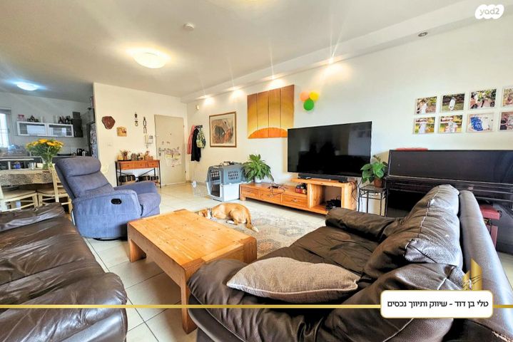 דירה, הנשר, כפר סבא הצעירה, כפר סבא