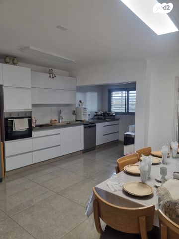 יהודה המכבי 