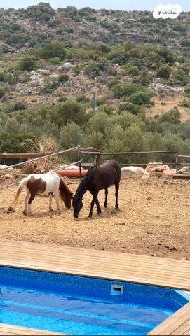 בית פרטי/ קוטג', עבדון, עבדון
