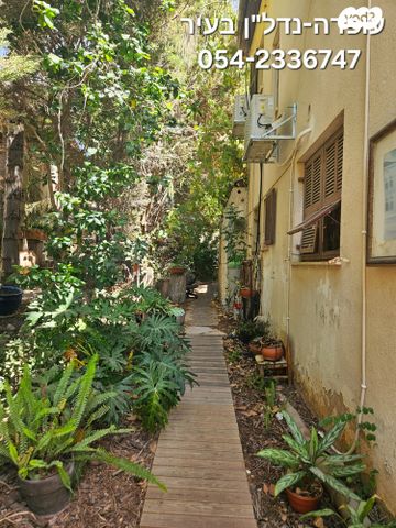 דו משפחתי, חבצלת, רחובות