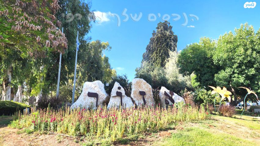 שיכון גג