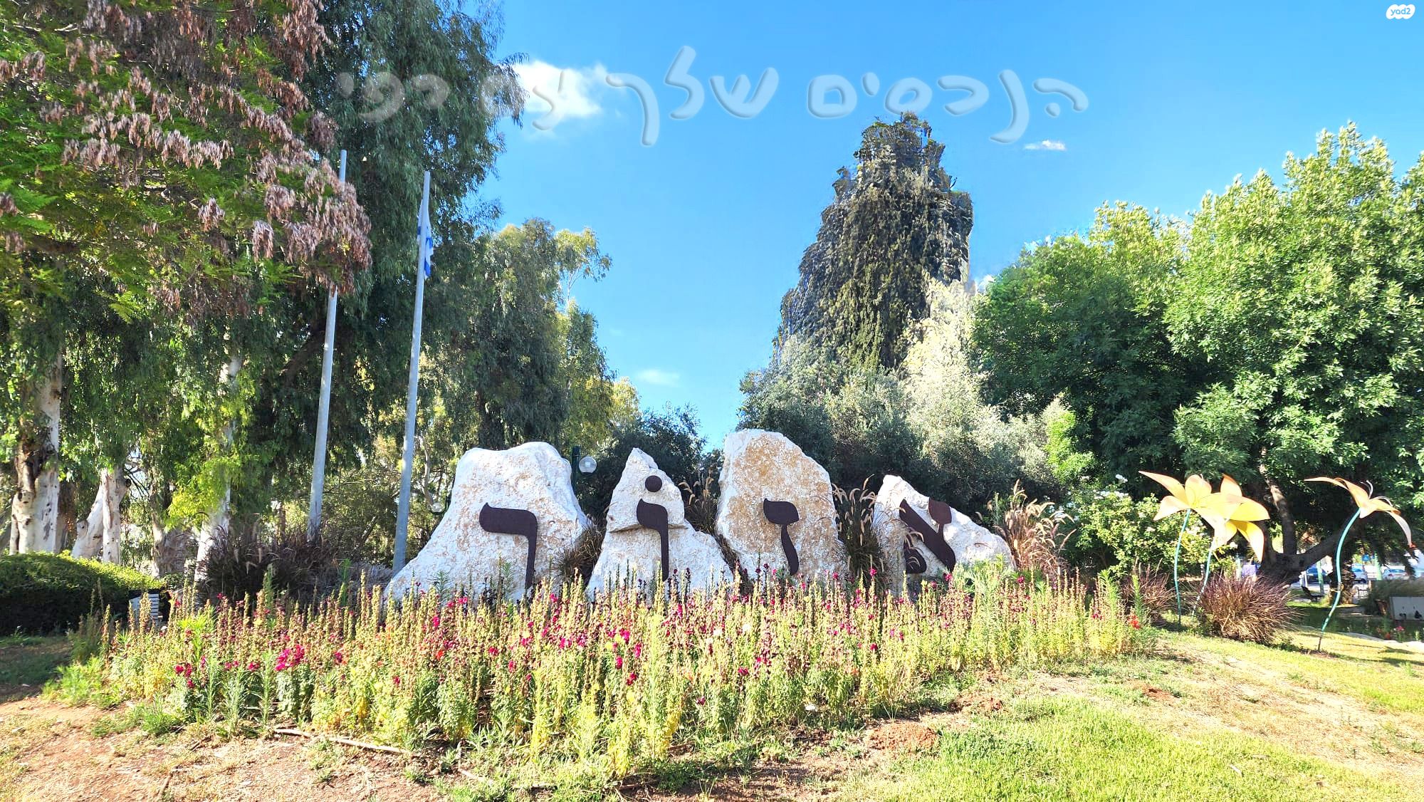 שיכון גג