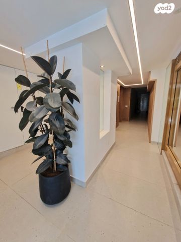 דירה, אסף, חרוזים, רמת גן