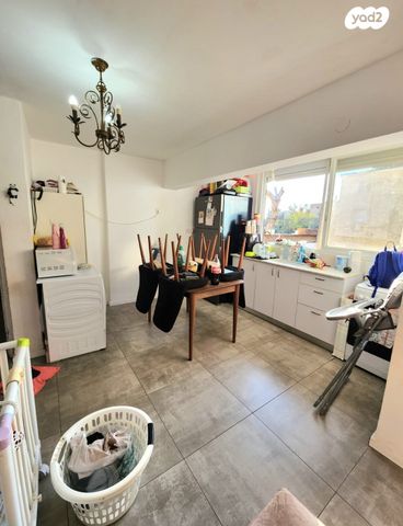 דירה, הארז, כהן, טירת כרמל