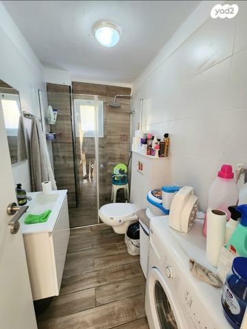 דירה, הארז, כהן, טירת כרמל