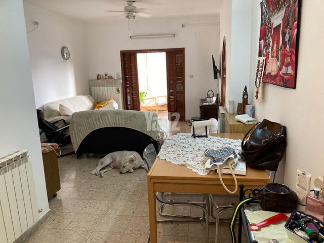 הברון הירש 