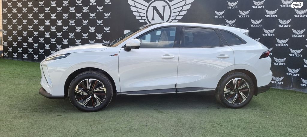 פורתינג פריידי