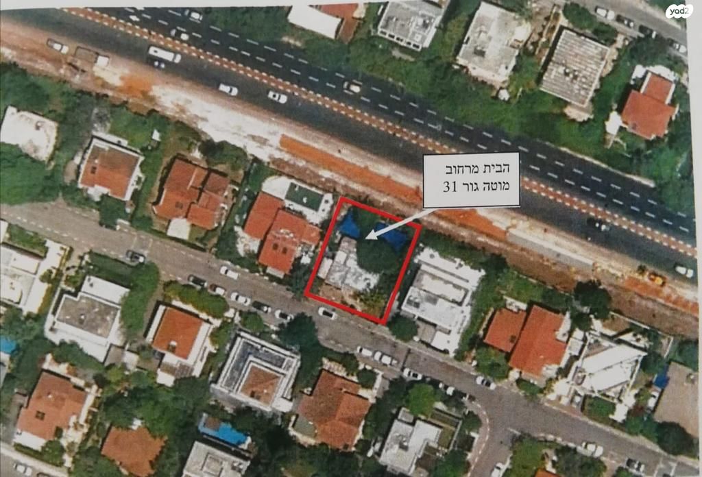 מוטה גור 31