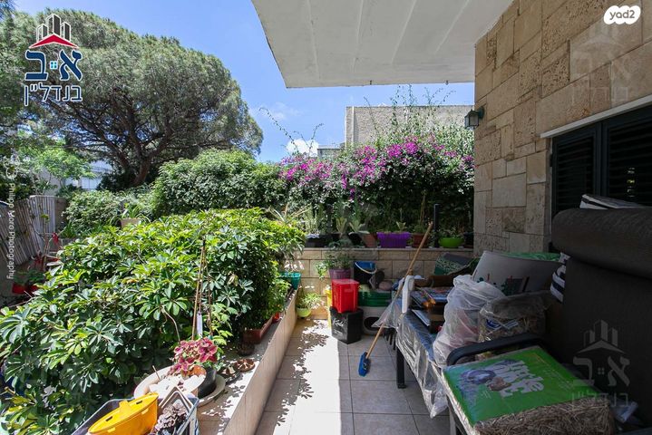 דירת גן, דרך הים, כרמל מערבי, חיפה