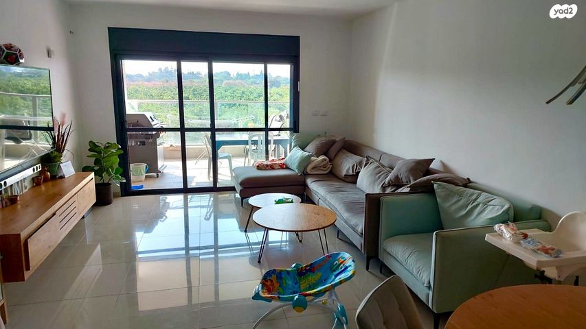 רחובות הצעירה