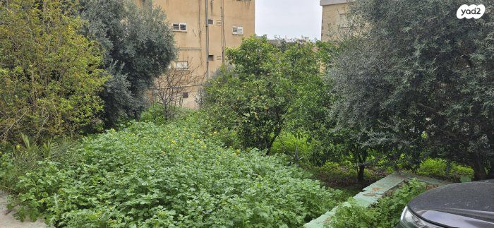 בית פרטי/ קוטג', טבריה