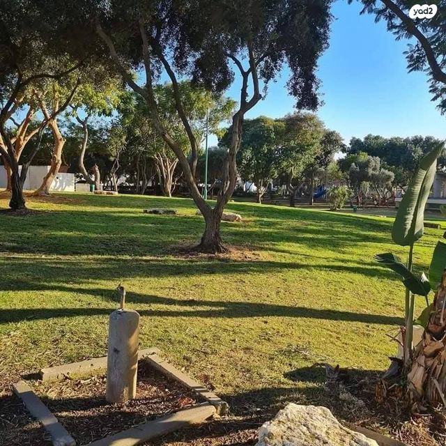 מגרשים, הברוש 3, ברנדייס, חדרה