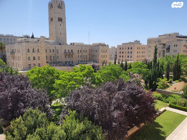טלביה, קוממיות
