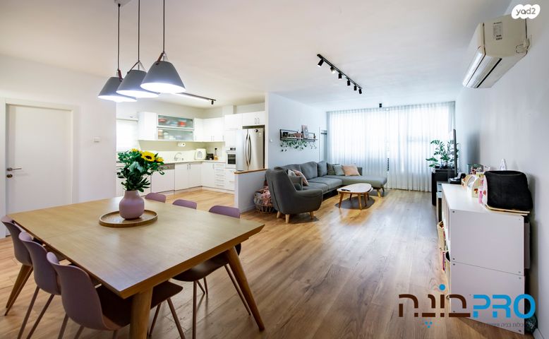 קרל נטר 