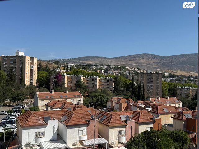 דירה, השושנים, אשכול, כרמיאל