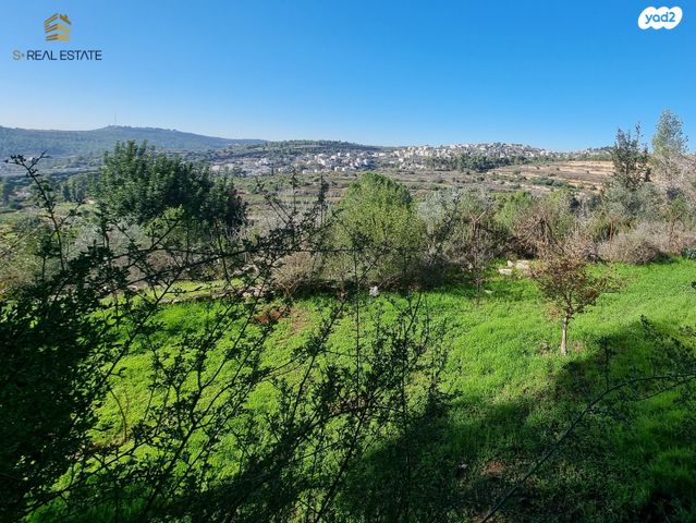 משק חקלאי/ נחלה