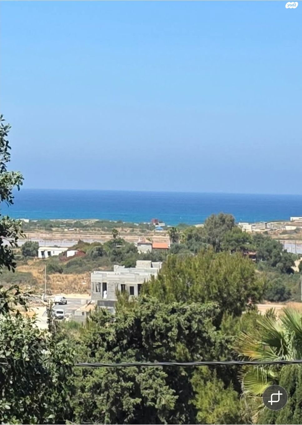 מגרשים
