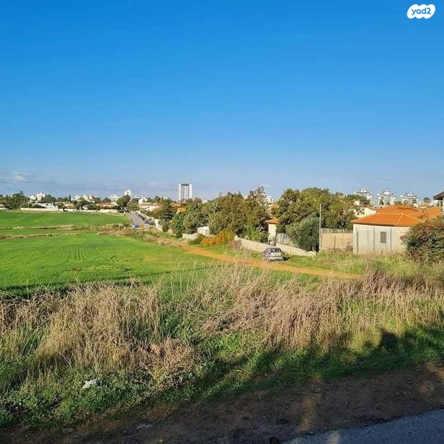 מגרשים, הברוש 3, ברנדייס, חדרה