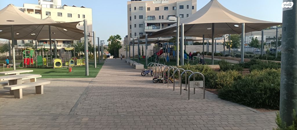 הרב אברהם שפירא 