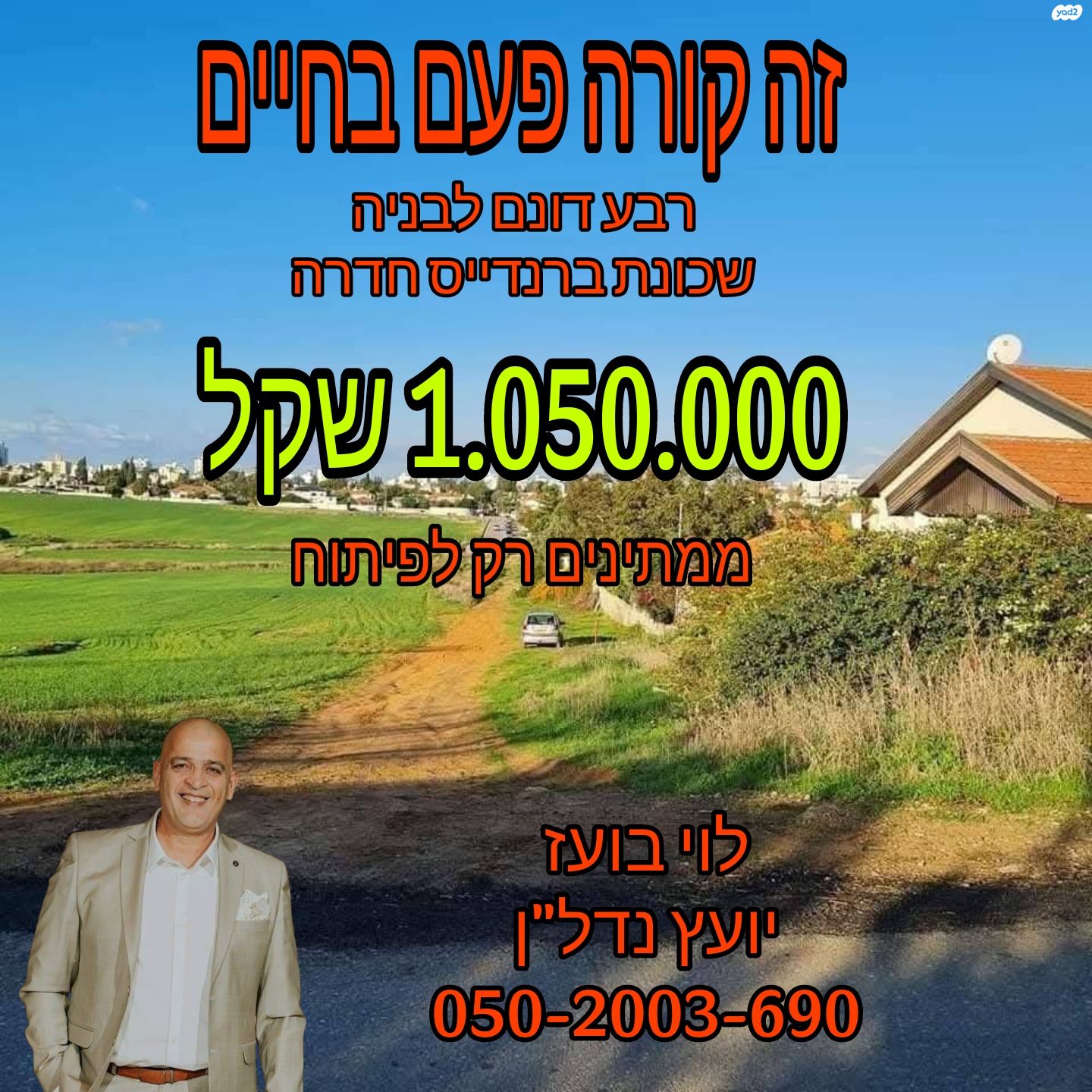הברוש 3