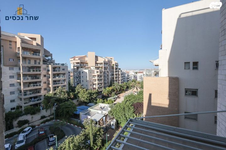 דירה, חסידה, כפר סבא הצעירה, כפר סבא