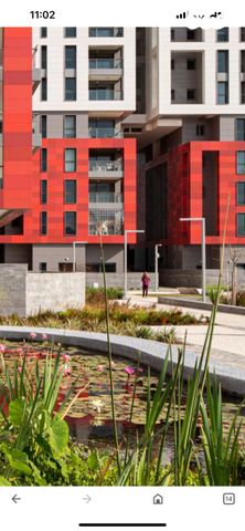 אריק איינשטיין 