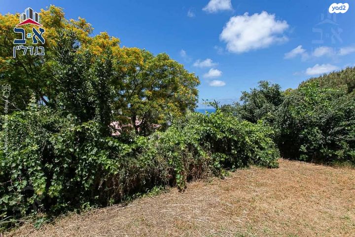 דירת גן, אביגדור המאירי, רמת שאול, חיפה