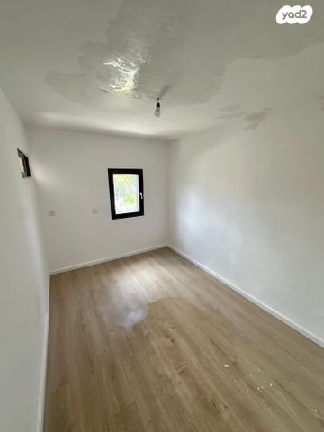 דירה, יוטבתה, ג'סי כהן, חולון