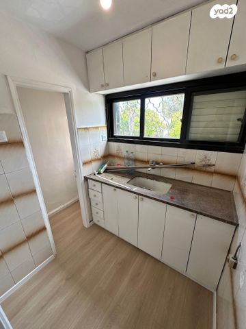 דירה, יוטבתה, ג'סי כהן, חולון