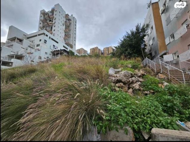 מגרשים, חיפה