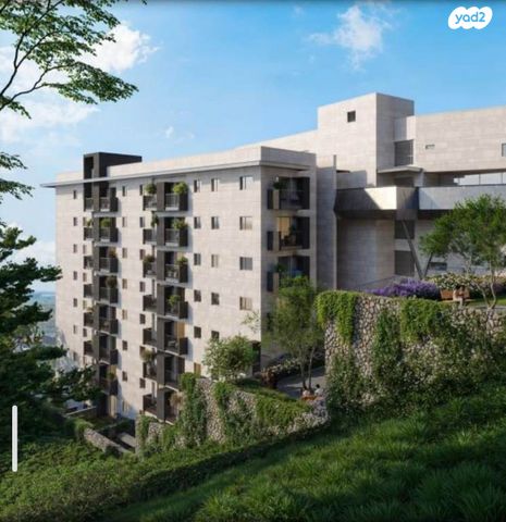 מגרשים, חיפה