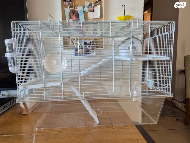 תמונת מודעה - חיות מחמד