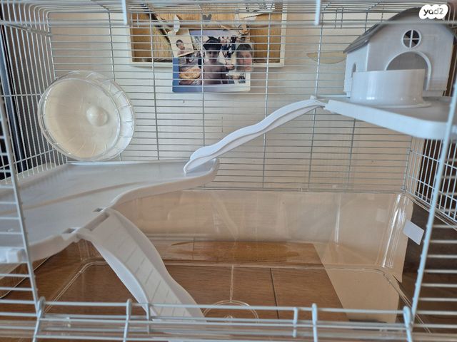 אביזרים | כלוב