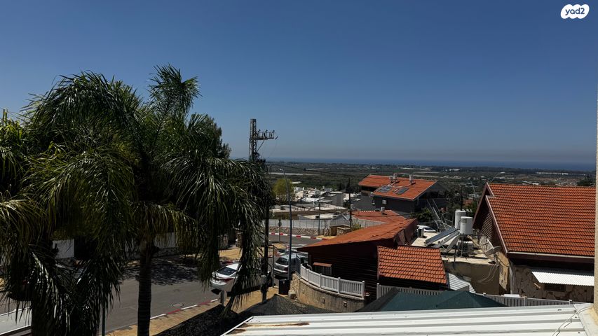 דירה, נתן אלבז, הראשונים, שלומי