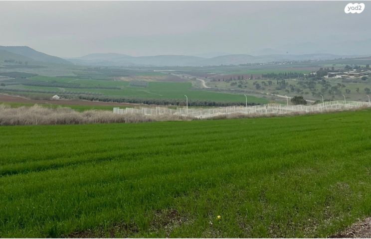 בן גוריון